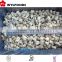frozen oyster mushroom price with high quality