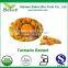 Factory Supply Turmeric Curcumin Extract with Kosher Certified 10%~95%