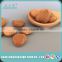 Dry Apricot Seeds