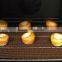 SMALL OVEN TRAY MESH NON-STICK DISHWASHER SAFE MAKES EXCELLENT OVEN CHIPS made from PTFE and fiberglass