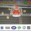 Chicken Broiler Equipments/ Poultry Automatic Feeding System/ Broiler Chicken Machine