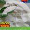 white powder map fertilizer with best price