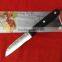 Paring Knife with Eco Friendly Wood Handler