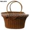 Fern Basket Best selling ( skype: July.etop)