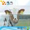 UHF Long Range RFID Livestock Ear Tag for Cattle