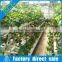 2017 Huifa Commercial Professional Hydroponic Greenhouse Systems