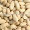 Blanched peanut line