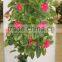 Artificial Decoration Potted Flower Tree Flower Potted Plant LGH15-06