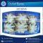 Excellent Quality and Tasty Octopus from Wholesale Supplier