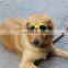 2017 New Arrival Fashion Dog Sunglasses,Cute Pet Sunglasses