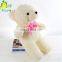 OEM High Quality Stuffed Soft Plush LED Toys Night Lighting Bear