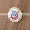 Supplier cheap custom cheap metal hard enamel lapel pin
