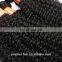 Direct Factory outlet genesis 100% pure brazilian bouncy curl human hair weaving
