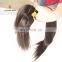 Luxury high quality best grade thick soft virgin 9a mink brazilian braid in weave braid in human hair bundles