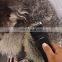 Factory Sale Widely Used Electric Dog Hair Trimmer Dog Grooming Scissors Kit
