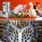 TM60 Chicken feather removing machine/Poultry plucker/Chicken defeather machine for sale