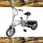 Hight Quality Lithium Battery Folding Electric Bike E-Bike Electric Bicycle