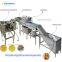 Automatic egg white separator machine Line-Egg washer-breaker-separator Machine