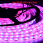 COB IC LED Strip smart dream color Digital 5V 1008leds/m 2.5m/reel dotless LED Strip
