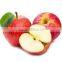2016 Super sweet fresh fuji apple from China
