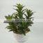 2015 Newest artificial bamboo leaves artificial bamboo plants