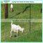 High quality hinge-lock sheep and goat field fence roll wholesale
