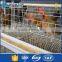 China Factory Commercial Chicken Use Automatic Hen Layer Cage for Chickens