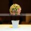 2016 Chinese succulent plant flower pots