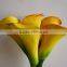 China wholesale fresh cut flower calla lily with high quality for wedding and home decoration