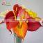 single stem artificial calla lily flower medium harmless