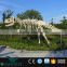 OA-DY-201662403 1:1 Replica fiberglass dinosaur skeleton