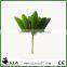 Wholeselling Tropical Artificial Succulent Plant in Deep Green