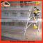 promotional broiler rabbit breeder and chicken egg layer cage