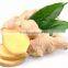 Dried ginger/ fresh ginger export with competitive price