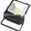 MW 30w COB Floodlight Bridgelux CE ROHS 3 years warranty