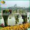 2015 Novelty China Artificial Animal Topiary for Garden Decor