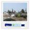 Simulation plant siliciffied wood