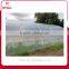 low cost agricultural farm green house plastic film