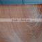Sapele Veneer Plywood