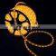 Multi Color Chasing IP65 Round2 Wires Led Hose Light CE