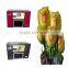 Electric Power Supply and Yes Digital Flower Printer