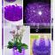 Wholesale Home Decorate Water Crystals/Water Beads