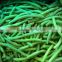 IQF frozen cut green beans (2-4cm)