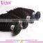 New fashion wholesale hair 7a grade virgin mongolian kinky curly hair in stock for black women