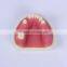 Trade Assurance Hot Dental Implant System CE Approved Dental Implant Model