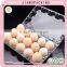 Clear plastic clamshell egg tray box packaging of 15 holes/cavities