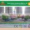New Amusement Park Rides Amusement Equipment Crazy Dance for Sale