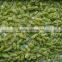high quality green raisin from China