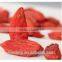 New Xinjiang Goji Berry Juice Powder 100% natural