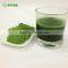 Organic Barley Grass Juice Powder 300-500 Mesh